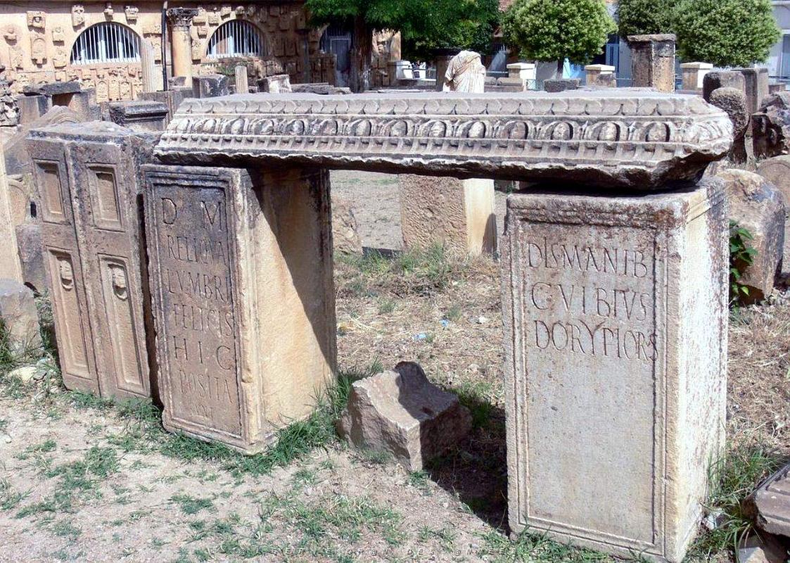 ALGERIE-RUINES ROMAINES DE LAMBESE (81).jpg